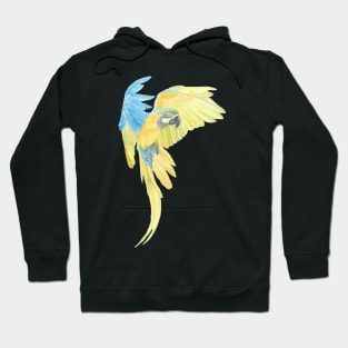 blue and gold macaw - watercolor parrot portrait Hoodie